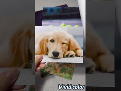 Πρωταθλητικό ρολό φωτογραφικού χαρτιού Luster για εκτυπωτές ευρείας μορφής Epson / Canon / HP