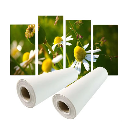 Τύπο χρωστικών 280gm Polyester Canvas Roll