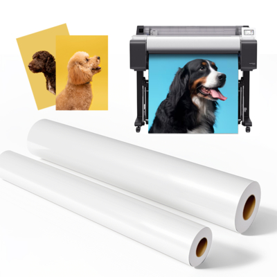 Μικροπορώδες RC Luster Photo Paper Roll 260gm για εκτυπωτές μεγάλου μορφότυπου της Epson