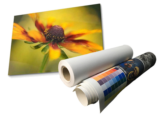 Αδιάβροχος ρόλος Eco διαλυτικό 280gsm καμβά πολυεστέρα μεταλλινών λατέξ